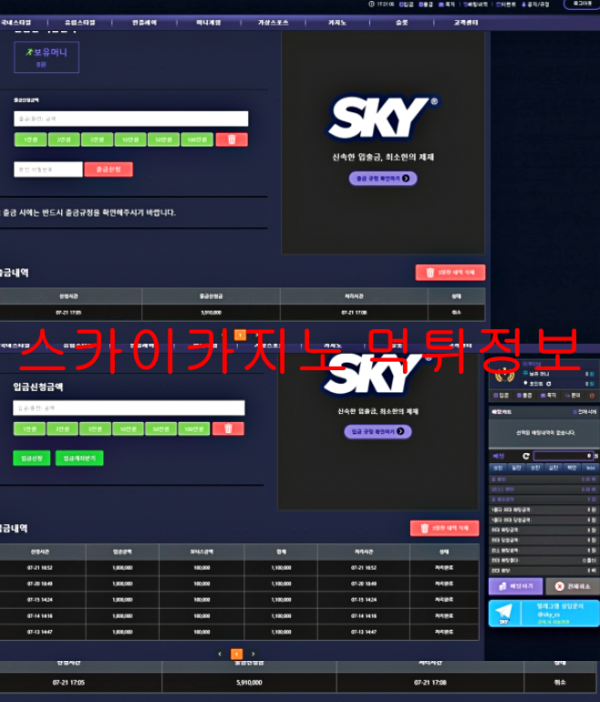 스카이카지노 먹튀정보