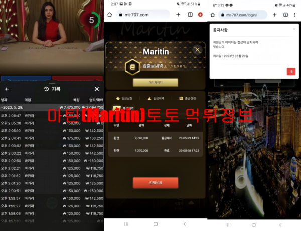 마틴(Maritin)토토 먹튀정보