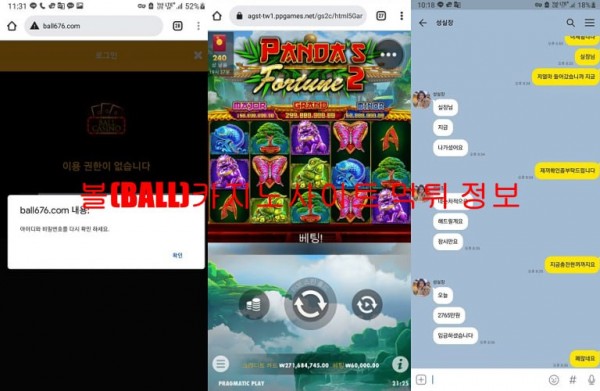 볼(BALL)카지노사이트 먹튀 정보