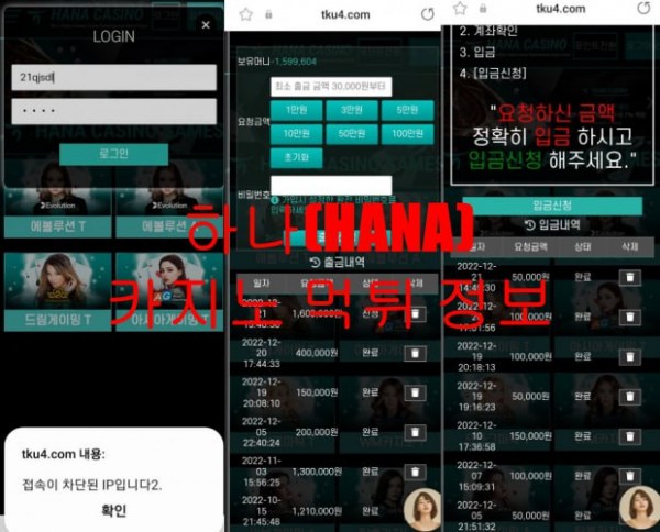 하나(HANA) 카지노 먹튀 정보