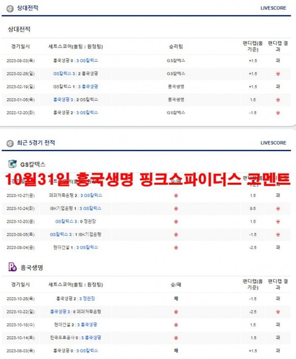 10월31일 흥국생명 핑크스파이더스 코멘트