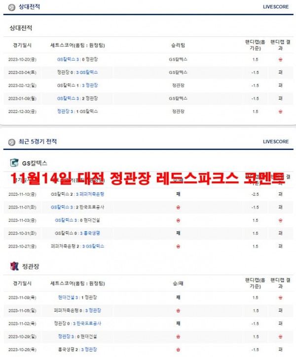 11월14일 대전 정관장 레드스파크스 코멘트