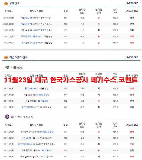 11월23일 대구 한국가스공사 페가수스 코멘트