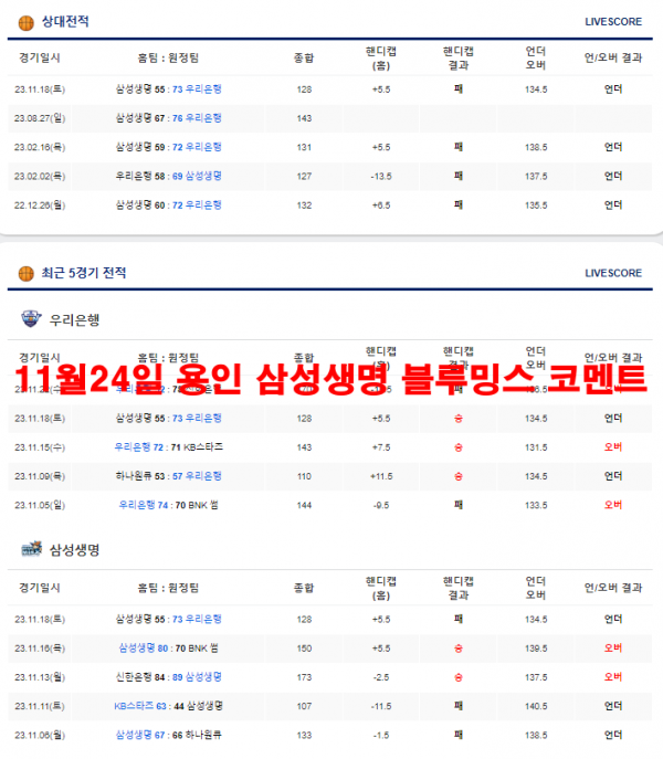 11월24일 용인 삼성생명 블루밍스 코멘트