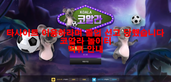 환도 잘나왔는데... 코알라 토토 먹튀 안내