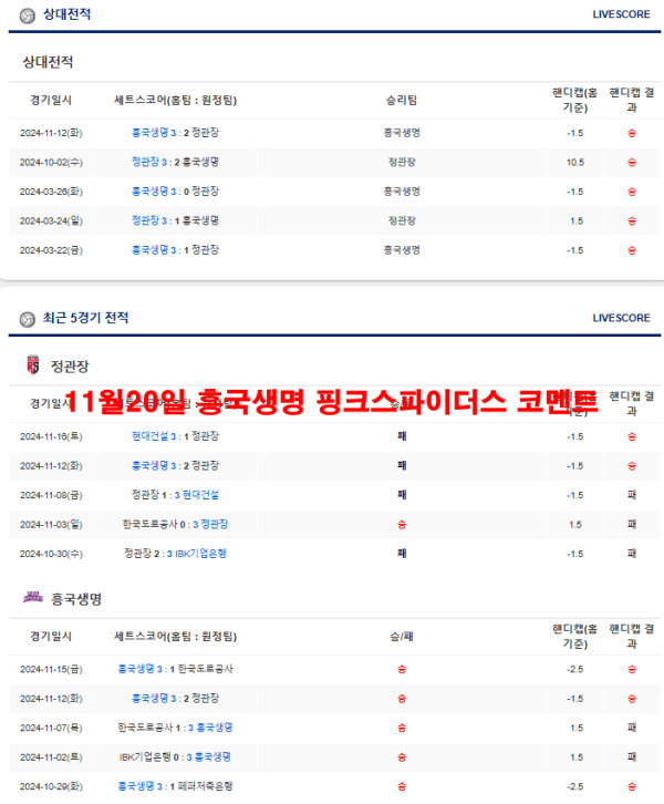 11월20일 흥국생명 핑크스파이더스 코멘트