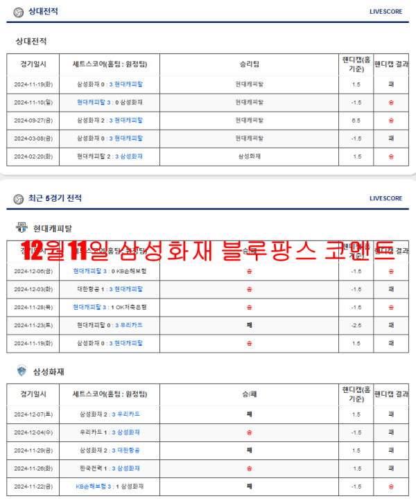 12월11일 삼성화재 블루팡스 코멘트