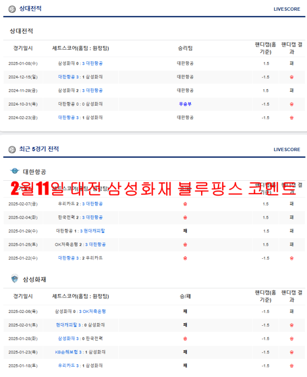 2월11일 대전 삼성화재 블루팡스 코멘트